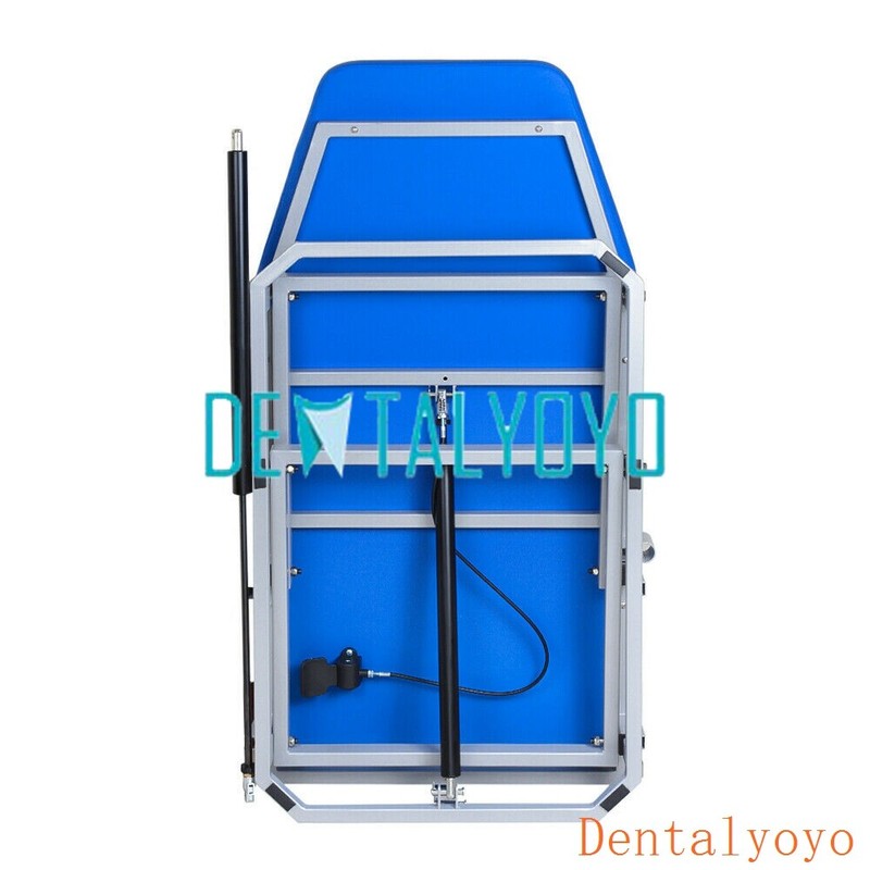 Greeloy Mobile Portable Dental Unit + Dental Folding Chair + Storage Bag Kit gallery